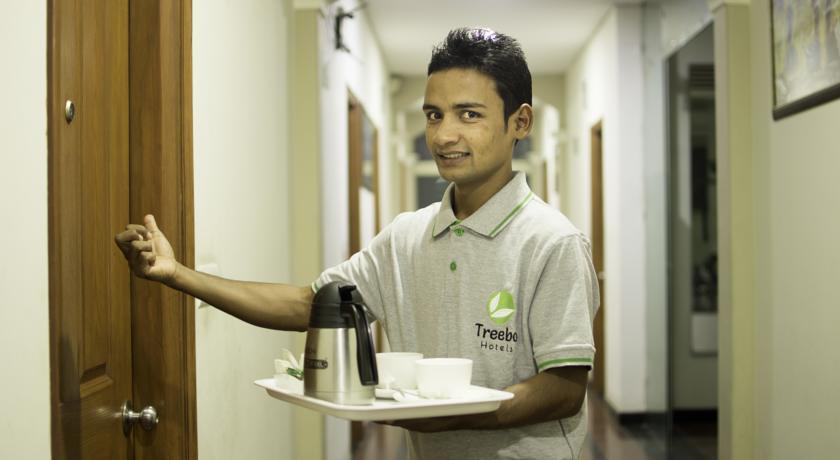 Treebo Palm Tree Palam Vihar Hotell Gurgaon Eksteriør bilde